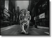 ''Urban Jungle: Majestic Tiger in Times Square'' Gloss Canvas w/ Glitter in Frame