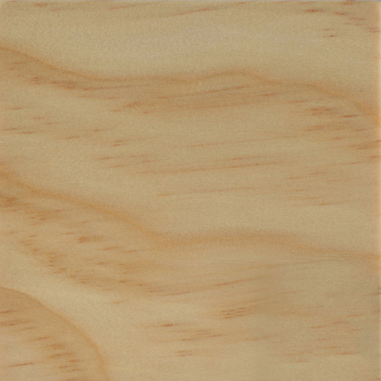 Biombo plegable Shoji Carrie de 3 paneles, color negro