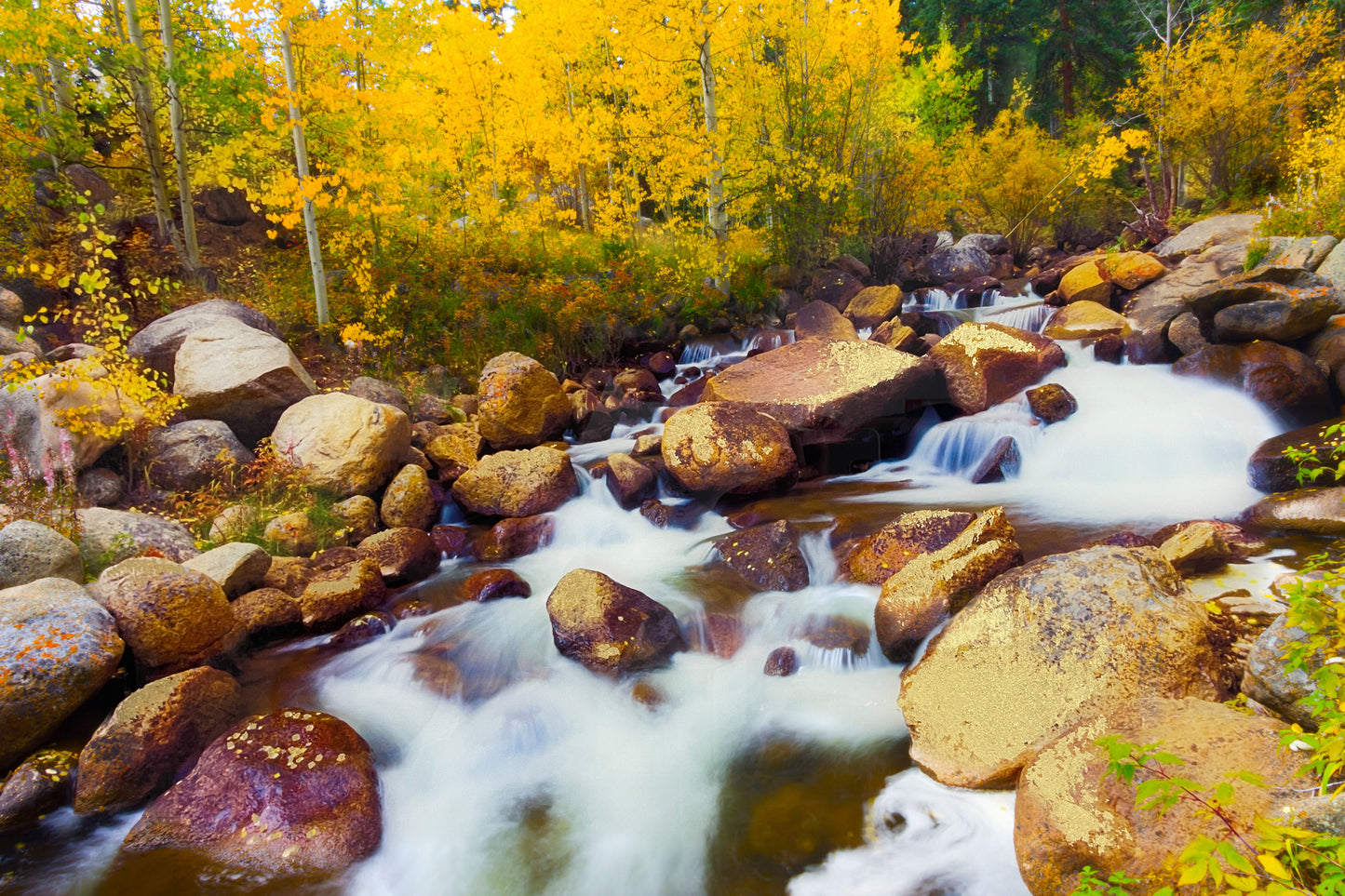 ''Water Runs Through Aspen'' Tempered Glass