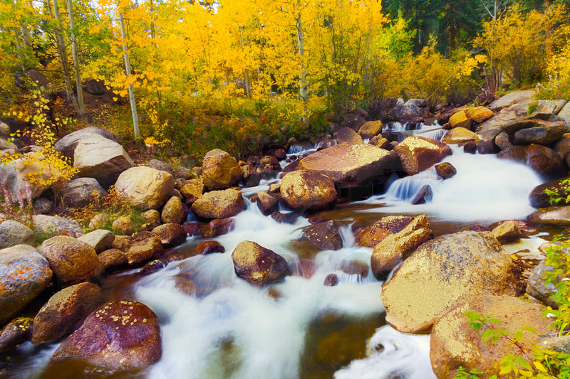 ''Water Runs Through Aspen'' Tempered Glass