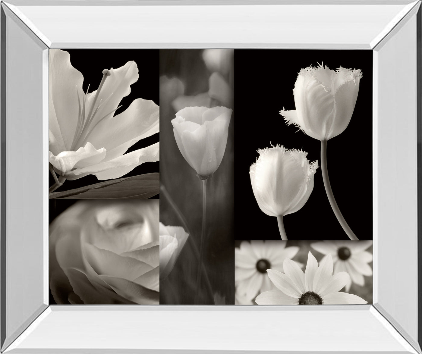 Mirrored Frame Summer Garden II By Dennis Frates