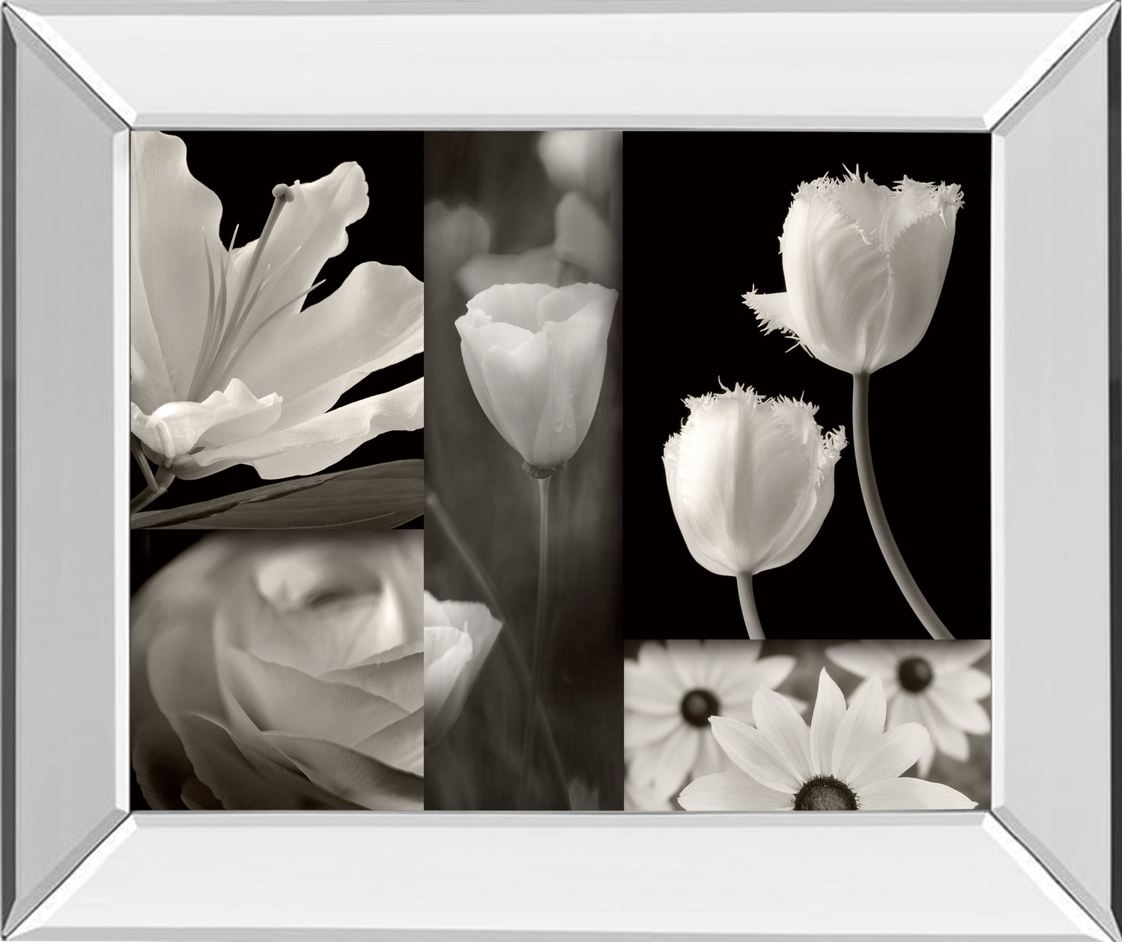 Mirrored Frame Summer Garden II By Dennis Frates
