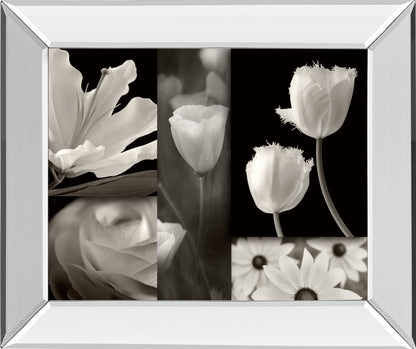 Mirrored Frame Summer Garden II By Dennis Frates