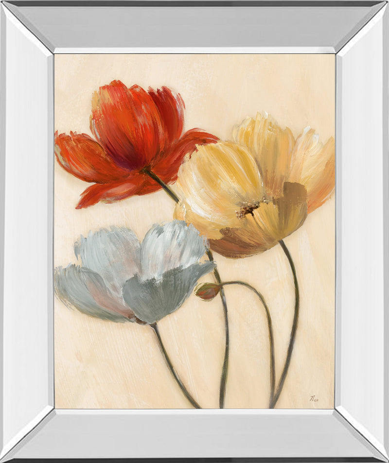 Mirrored Frame Poppy Palette II By Nan