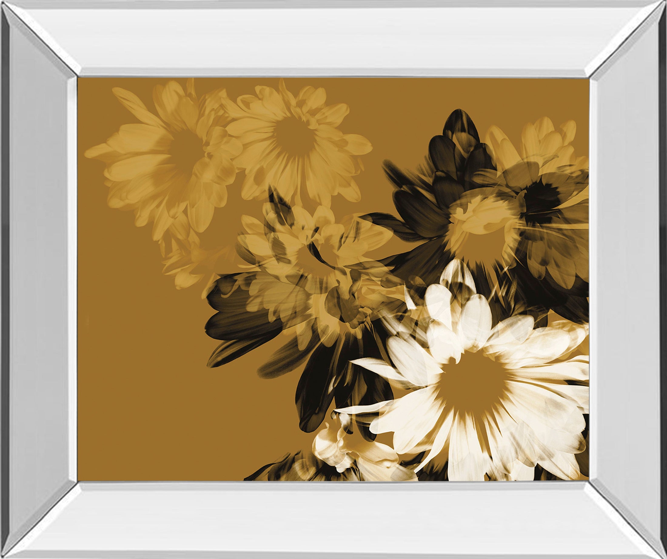 Mirrored Frame Golden Bloom II By A.Project