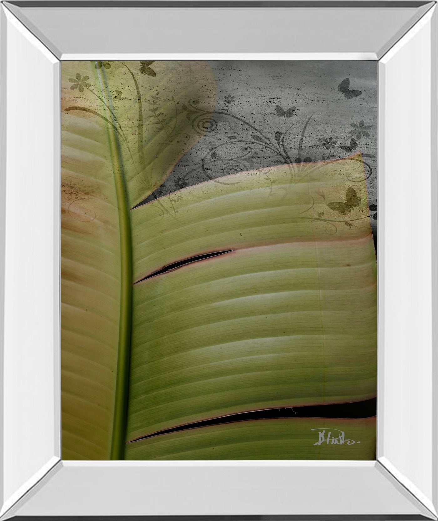 Mirrored Frame Butterfly Palm II By Patricia Pinto