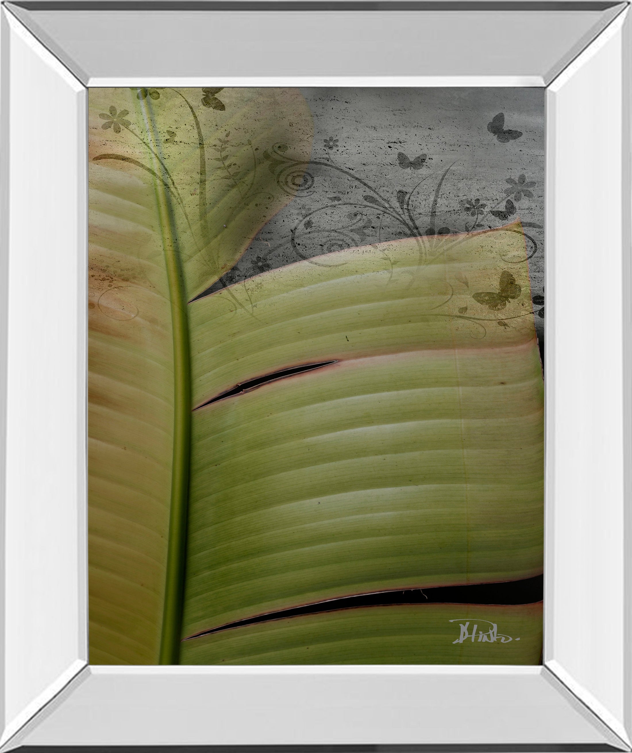 Mirrored Frame Butterfly Palm II By Patricia Pinto