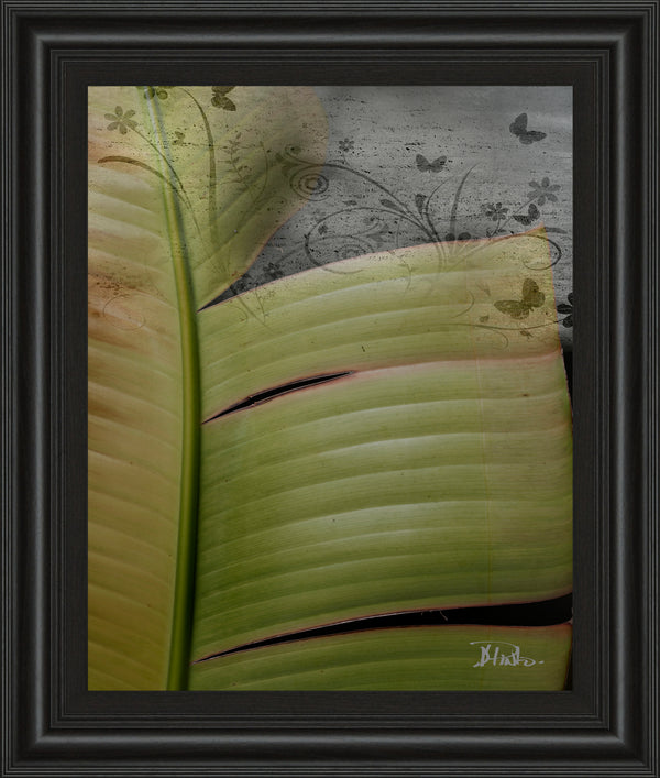 Butterfly Palm II By Patricia Pinto