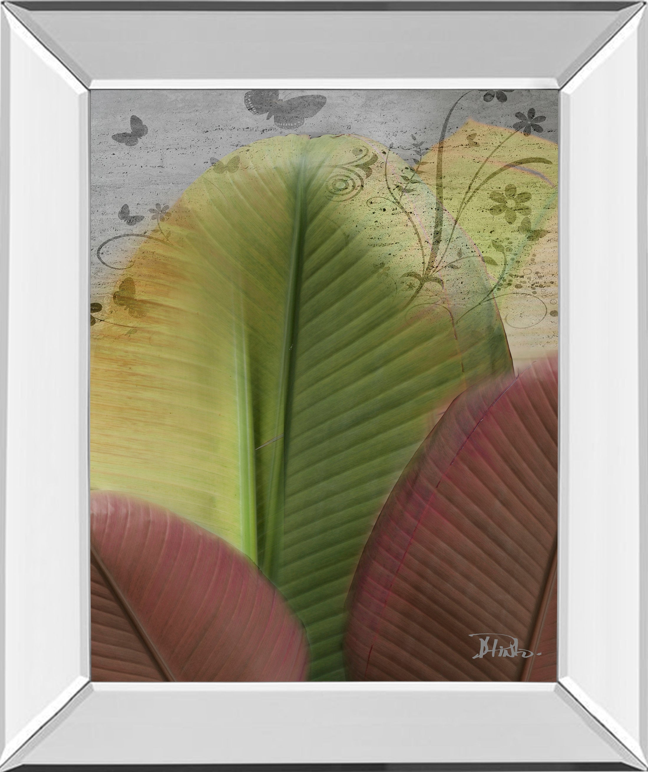Mirrored Frame Butterfly Palm I By Patricia Pinto