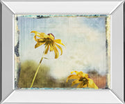 Mirrored Frame Blackeyed Susan II By Meghan Mcsweeney
