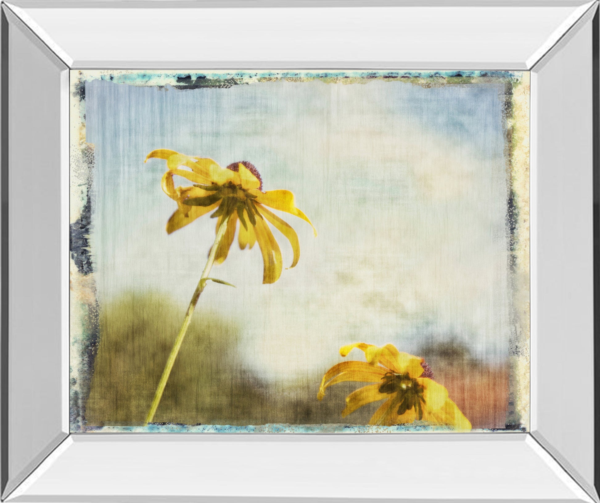 Mirrored Frame Blackeyed Susan II By Meghan Mcsweeney