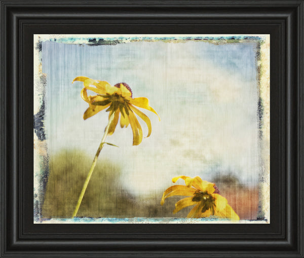 Blackeyed Susan II By Meghan Mcsweeney