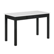 Rylee Faux Marble Desk