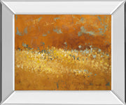 Mirrored Frame Flower Fields II By Lanie Loreth