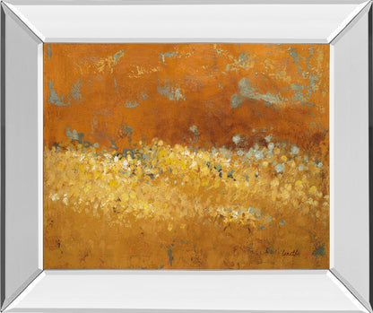 Mirrored Frame Flower Fields II By Lanie Loreth