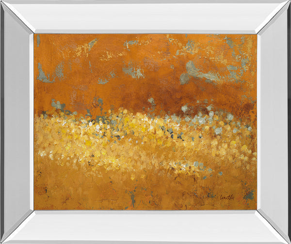 Mirrored Frame Flower Fields II By Lanie Loreth