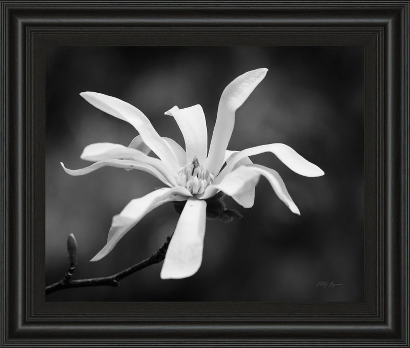 Magnolia Dreams I By Geyman Vitaly