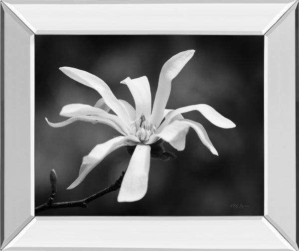 Mirrored Frame Magnolia Dreams I By Geyman Vitaly