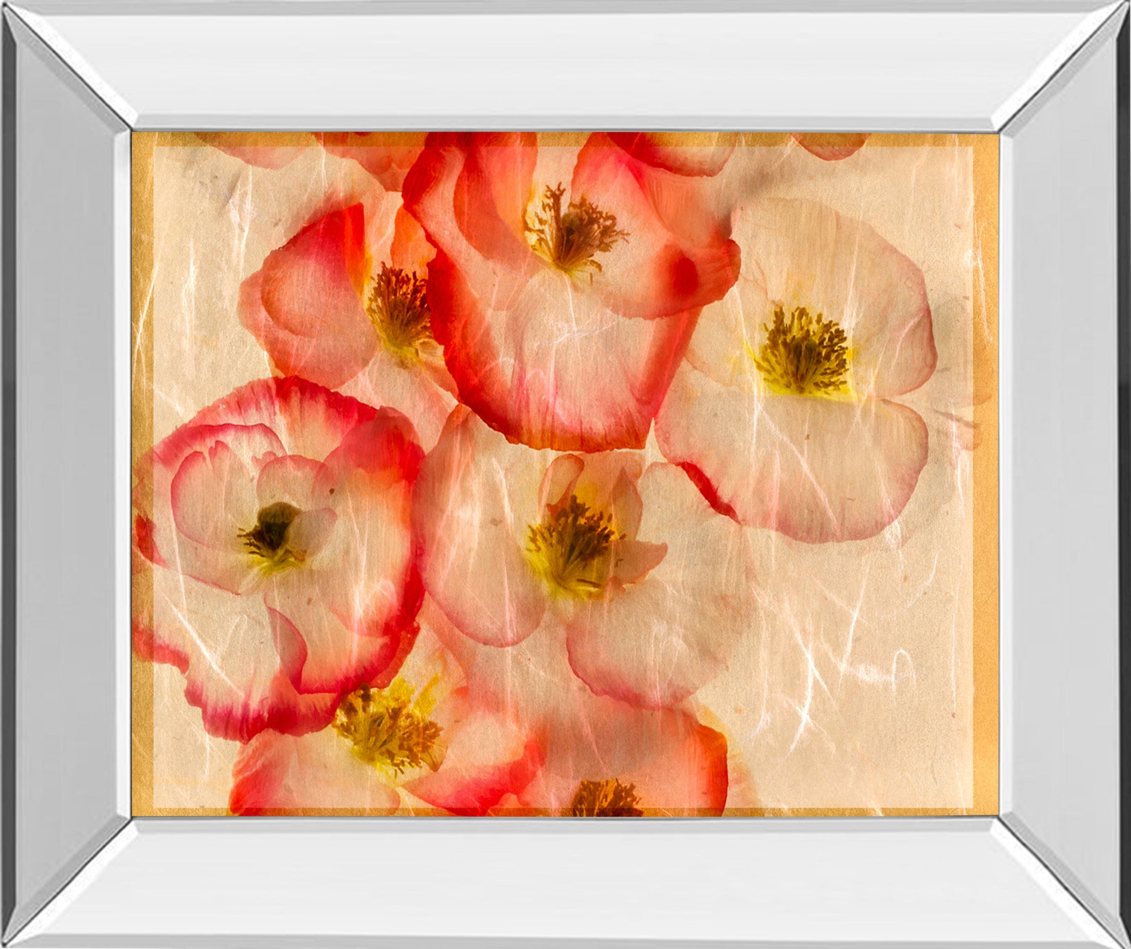 Mirrored Frame Papaver Dreams III By Harold Davis