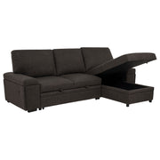 Demko Sleeper Sectional Sofa with Speaker and Storage Chaise Brown