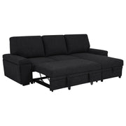 Demko Sleeper Sectional Sofa with Speaker and Storage Chaise Black