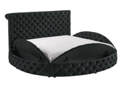 Brigitte Storage Bed Black