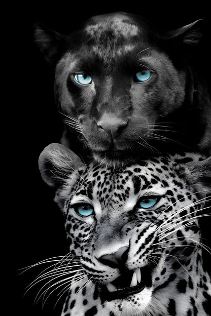 ''Big Cats Play Too'' Tempered Glass