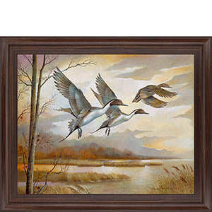 Pintails By Ruanne Manning