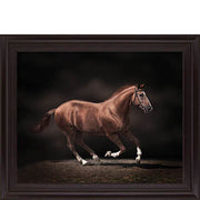 Stallion On Black By Edoma
