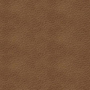 Bolsena Queen Sofa Sleeper