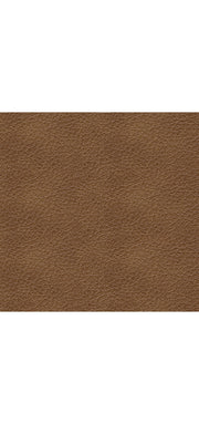 Bolsena Queen Sofa Sleeper