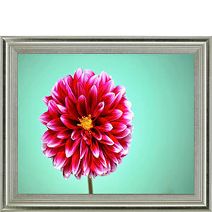 Zenia By Gail Peck