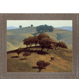 Hills Near Chico By N. Bohne