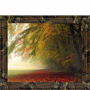 Your Beauty Silences Me By Irene Weisz