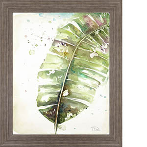 Watercolor Plantain Leaves II By Patricia Pinto
