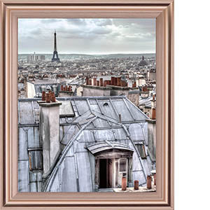 Paris Rooftops By Assaf Frank