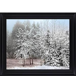 Frosty Morning By Mike Jone