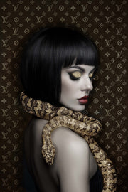 ''Slithering'' Gloss Canvas