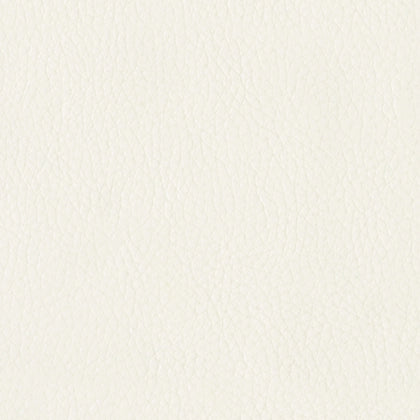 Donlen Contemporary Sofa