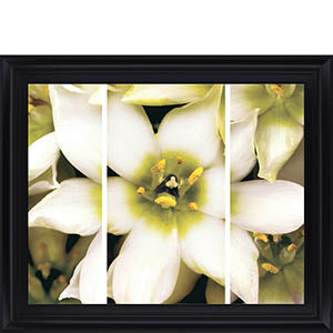 Star Of Bethlehem Triptych By Levine, A.