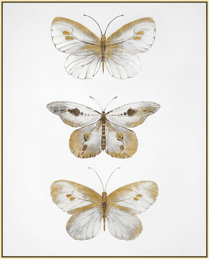 ''Golden Trio Butterfly Study'' Hand-painted Canvas in Frame (set)