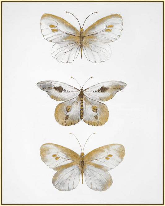 ''Golden Trio Butterfly Study'' Hand-painted Canvas in Frame (set)