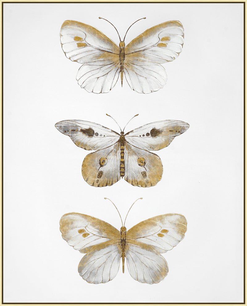 ''Golden Trio Butterfly Study'' Hand-painted Canvas in Frame (set)