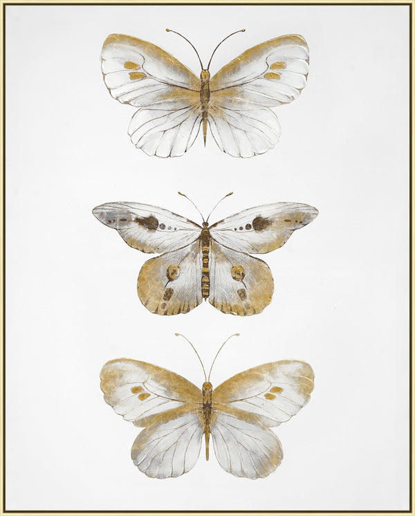 ''Golden Trio Butterfly Study'' Hand-painted Canvas in Frame (set)