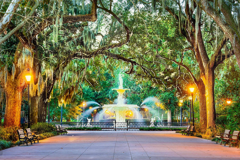 ''Forsyth Park Savannah'' Tempered Glass