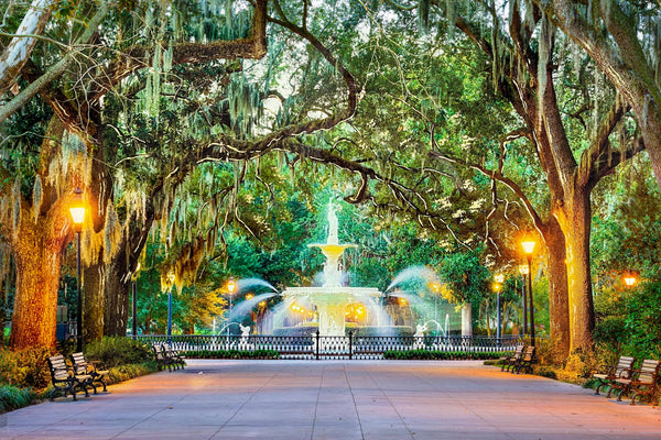 ''Forsyth Park Savannah'' Tempered Glass
