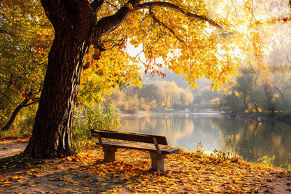 Autumn Lakeside Tempered Glass w/Foil