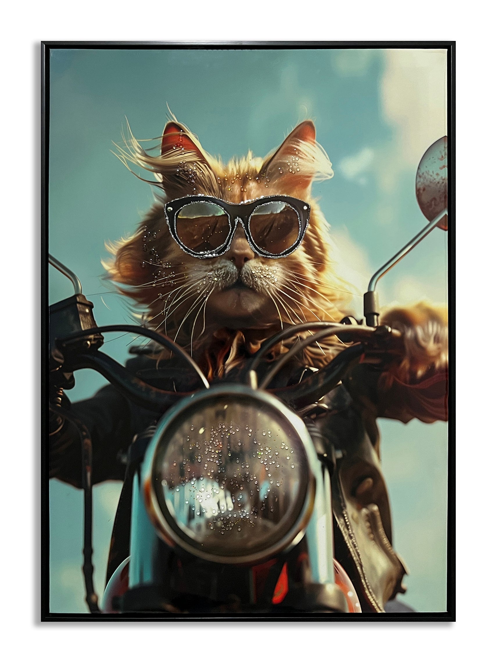 ''Cat on Motorcycle'' Gloss Canvas w/ Rocks in Frame