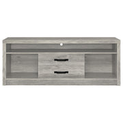 Burke 2-door Engineered Wood TV Stand Grey Driftwood