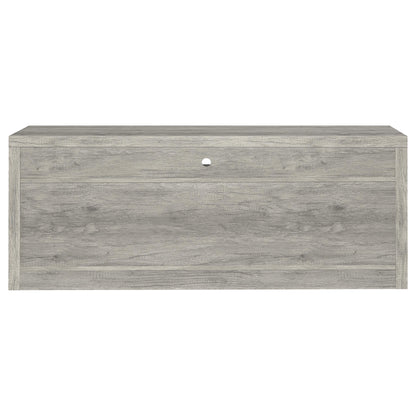 Burke 2-door Engineered Wood TV Stand Grey Driftwood